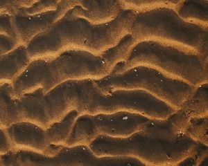 Preview wallpaper sand, desert, wavy, shells