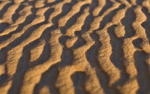 Preview wallpaper sand, desert, wavy, texture