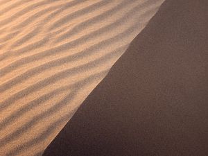 Preview wallpaper sand, dune, desert