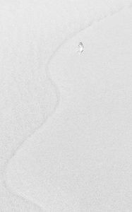 Preview wallpaper sand, feather, white, minimalism