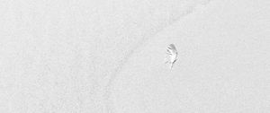 Preview wallpaper sand, feather, white, minimalism