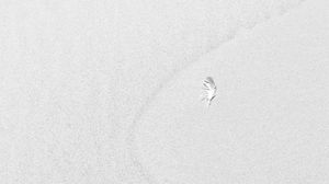 Preview wallpaper sand, feather, white, minimalism