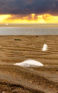 Preview wallpaper sand, feathers, shore, sea