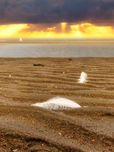 Preview wallpaper sand, feathers, shore, sea