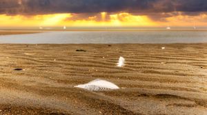 Preview wallpaper sand, feathers, shore, sea