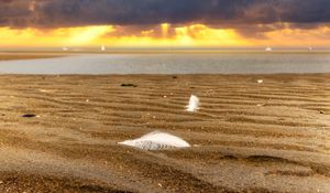 Preview wallpaper sand, feathers, shore, sea