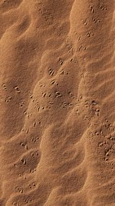 Preview wallpaper sand, footprints, desert, texture