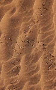 Preview wallpaper sand, footprints, desert, texture