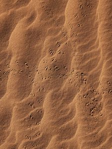 Preview wallpaper sand, footprints, desert, texture