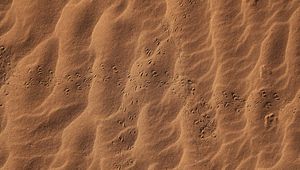 Preview wallpaper sand, footprints, desert, texture