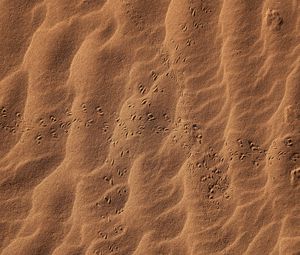 Preview wallpaper sand, footprints, desert, texture
