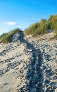 Preview wallpaper sand, footprints, relief, slope, grass