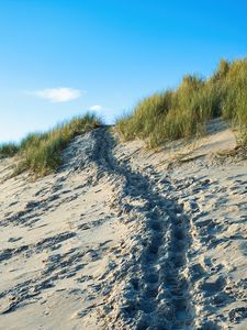 Preview wallpaper sand, footprints, relief, slope, grass