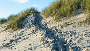 Preview wallpaper sand, footprints, relief, slope, grass