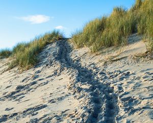 Preview wallpaper sand, footprints, relief, slope, grass