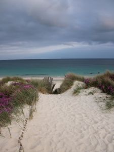 Preview wallpaper sand, grass, beach, sea, landscape, summer