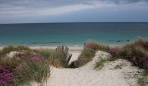 Preview wallpaper sand, grass, beach, sea, landscape, summer
