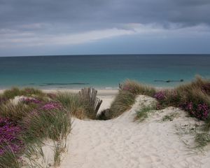 Preview wallpaper sand, grass, beach, sea, landscape, summer