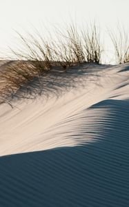 Preview wallpaper sand, grass, desert, dunes