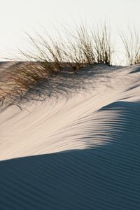 Preview wallpaper sand, grass, desert, dunes