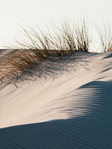 Preview wallpaper sand, grass, desert, dunes