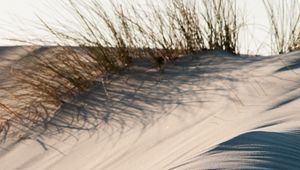 Preview wallpaper sand, grass, desert, dunes