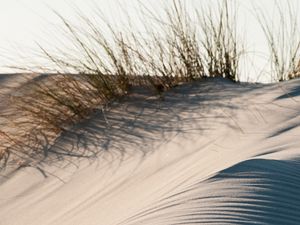 Preview wallpaper sand, grass, desert, dunes