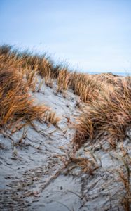 Preview wallpaper sand, grass, dry, hills