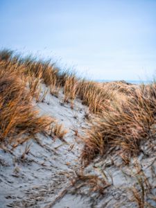 Preview wallpaper sand, grass, dry, hills