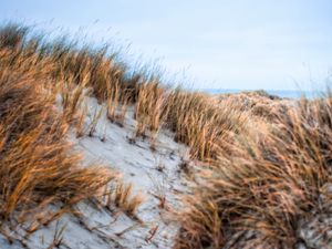 Preview wallpaper sand, grass, dry, hills