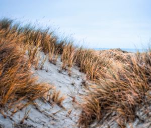 Preview wallpaper sand, grass, dry, hills