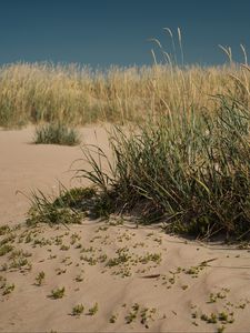 Preview wallpaper sand, grass, nature