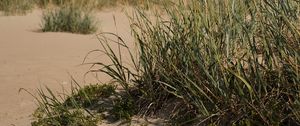 Preview wallpaper sand, grass, nature