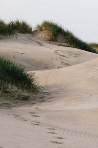 Preview wallpaper sand, grass, traces