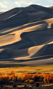 Preview wallpaper sand, hill, dunes, tree