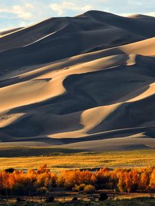 Preview wallpaper sand, hill, dunes, tree