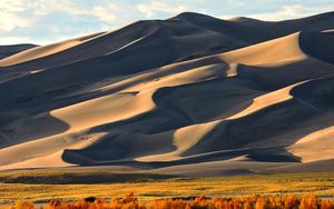 Preview wallpaper sand, hill, dunes, tree