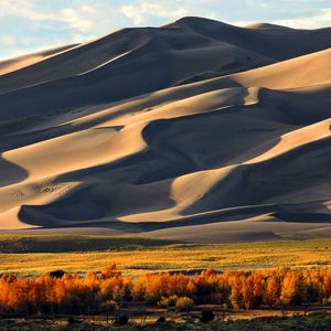 Preview wallpaper sand, hill, dunes, tree