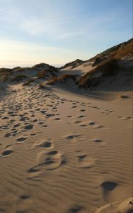 Preview wallpaper sand, hill, dunes, grass, traces