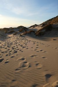 Preview wallpaper sand, hill, dunes, grass, traces