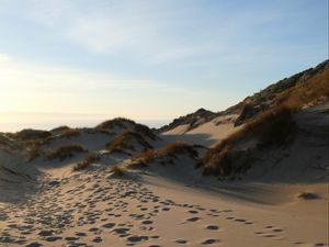 Preview wallpaper sand, hill, dunes, grass, traces