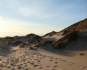 Preview wallpaper sand, hill, dunes, grass, traces