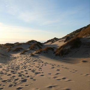 Preview wallpaper sand, hill, dunes, grass, traces