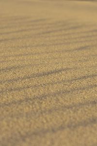 Preview wallpaper sand, particles, desert, wavy