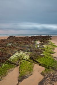 Preview wallpaper sand, plates, moss, coast, sea, cloudy