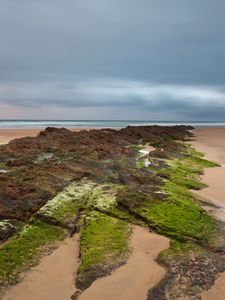 Preview wallpaper sand, plates, moss, coast, sea, cloudy