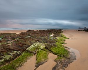 Preview wallpaper sand, plates, moss, coast, sea, cloudy