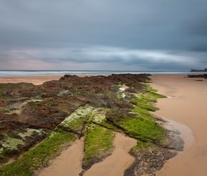 Preview wallpaper sand, plates, moss, coast, sea, cloudy