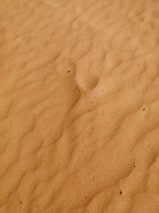 Preview wallpaper sand, relief, surface, texture, brown
