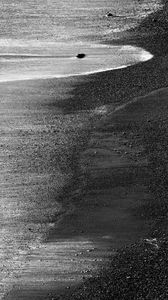 Preview wallpaper sand, sea, shore, bw